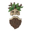 Red Carpet Studios Old Man Twigs Tree Face 49024